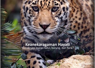 KEANEKARAGAMAN HAYATI
